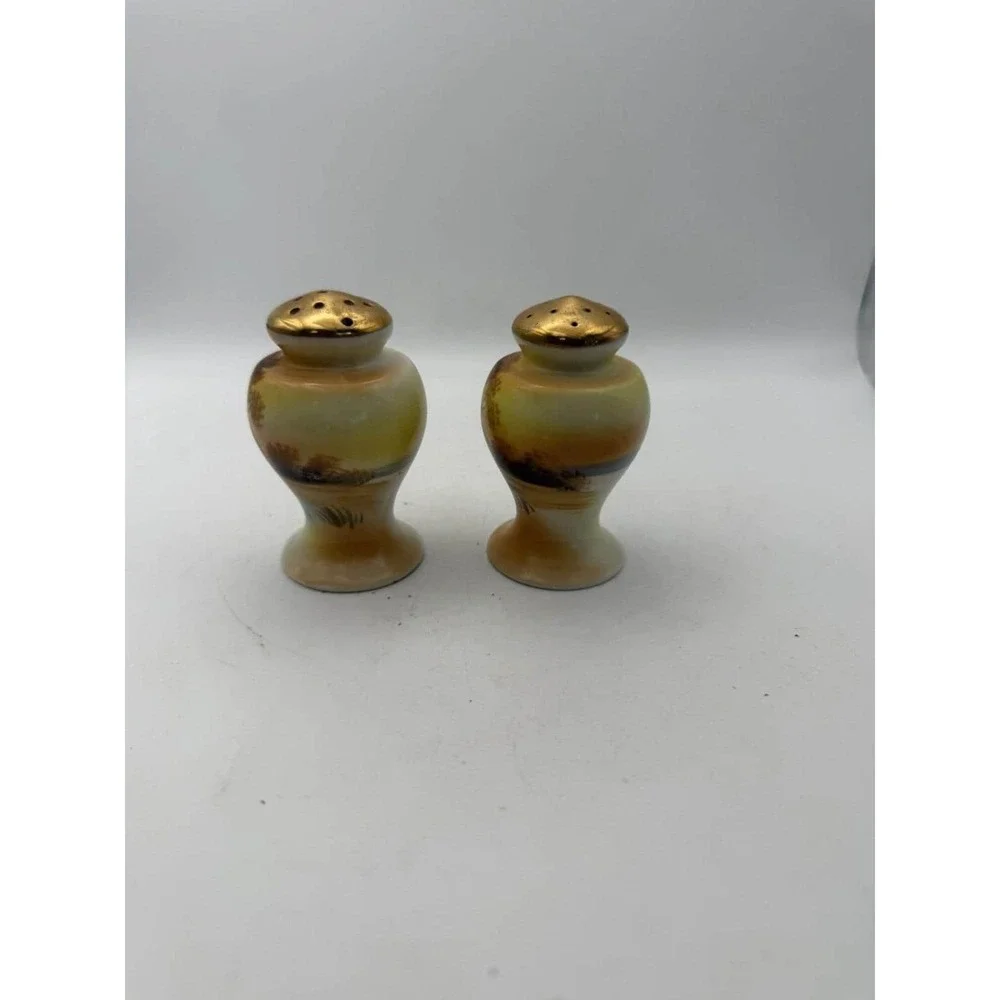 Vintage Hand Painted Porcelain Salt & Pepper Shakers Scenic Landscape